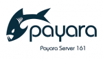 Servidor aplicaciones Payara